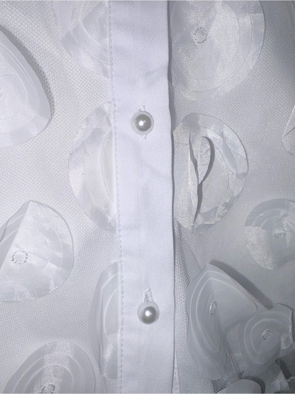 Alice Blue White Sheer 3D Petal Button-Down Blouse - Picture 5 of 7